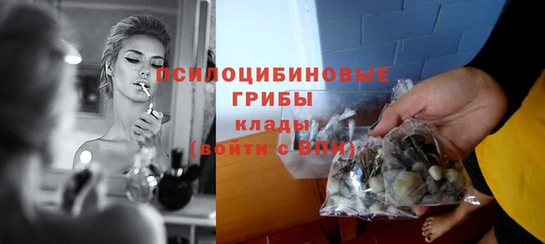 амф Алексеевка