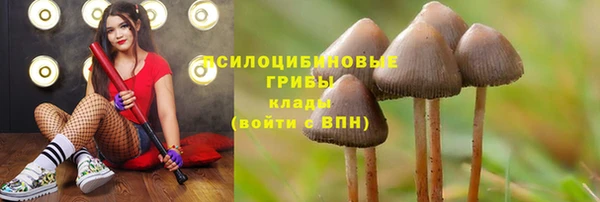 амф Алексеевка