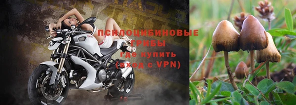 ALPHA PVP Абаза