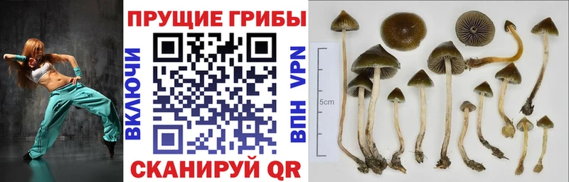 Галлюциногенные грибы мицелий  mega   Белоярский  закладки 